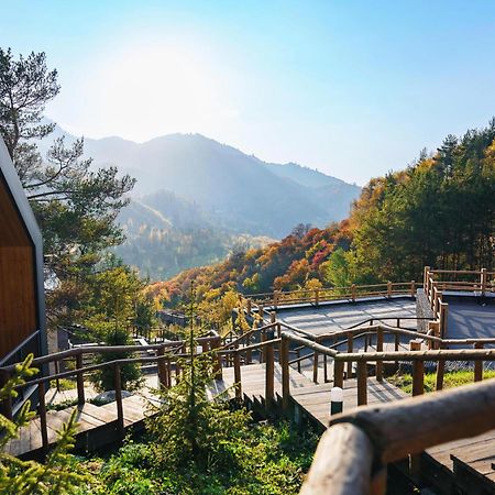 Qazaq Auyl Eco Hotel Ałma Ata Zewnętrze zdjęcie
