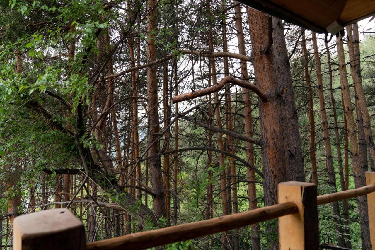 Qazaq Auyl Eco Hotel Ałma Ata Zewnętrze zdjęcie