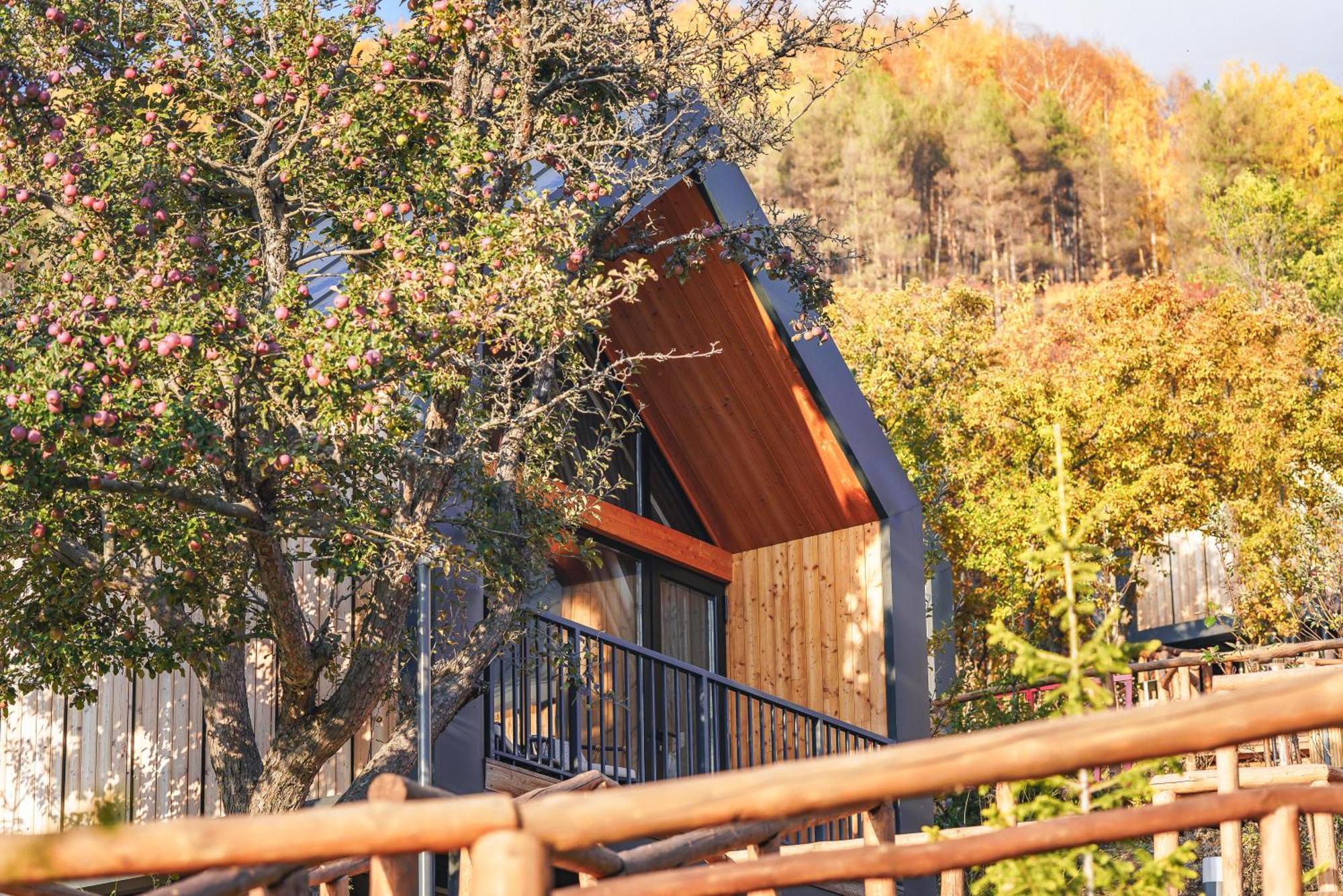 Qazaq Auyl Eco Hotel Ałma Ata Zewnętrze zdjęcie
